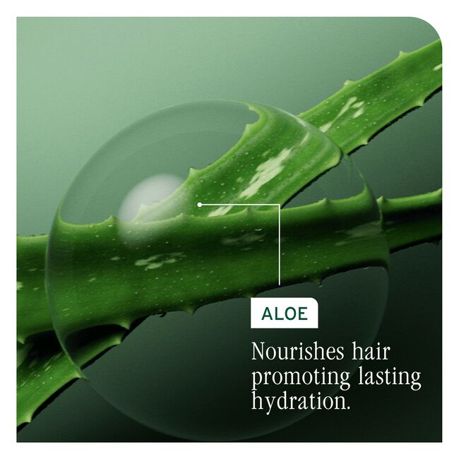 HydraSource Daily Leave-In Tonic for Dry Hair