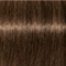 5-65 Light Brown Chocolate Gold