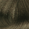 Champagne Dream 6