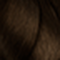 6.3 Gingerbread